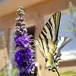 Casa Con Jardin Entre Y Puy Du Fou * Toledo
