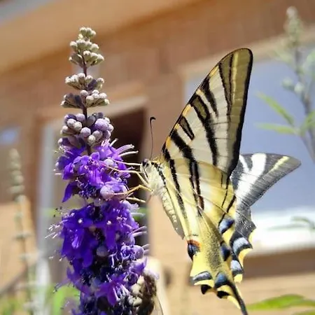 Casa Con Jardin Entre Y Puy Du Fou * Toledo