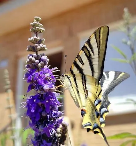 Casa Con Jardin Entre Y Puy Du Fou * Toledo